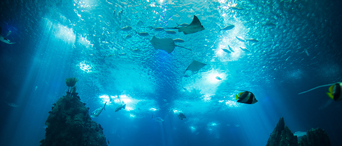 水族館