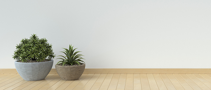 植物を置いてさわやかに！
